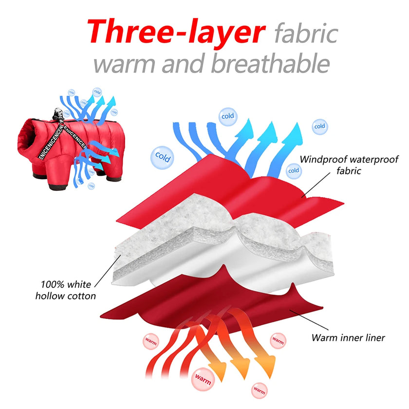 Vinteroverall för liten hund