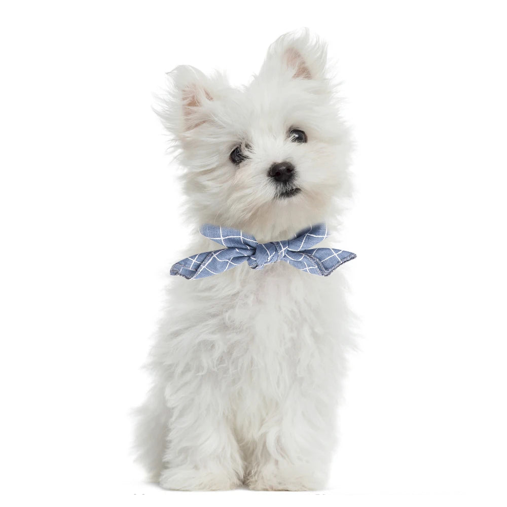 Scarf för liten hund