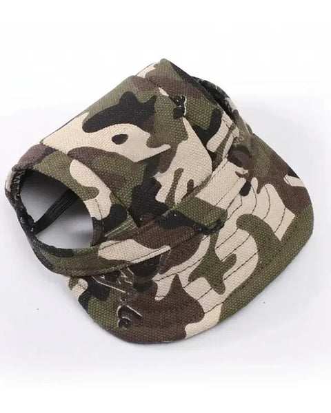 Keps för hund