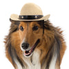Cowboy hatt för hund