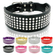 Brett hundhalsband med strass