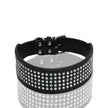 Brett hundhalsband med strass