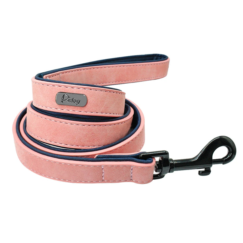 Koppel för hund