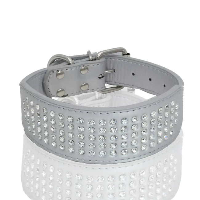 Brett hundhalsband med strass