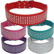 Brett hundhalsband med strass