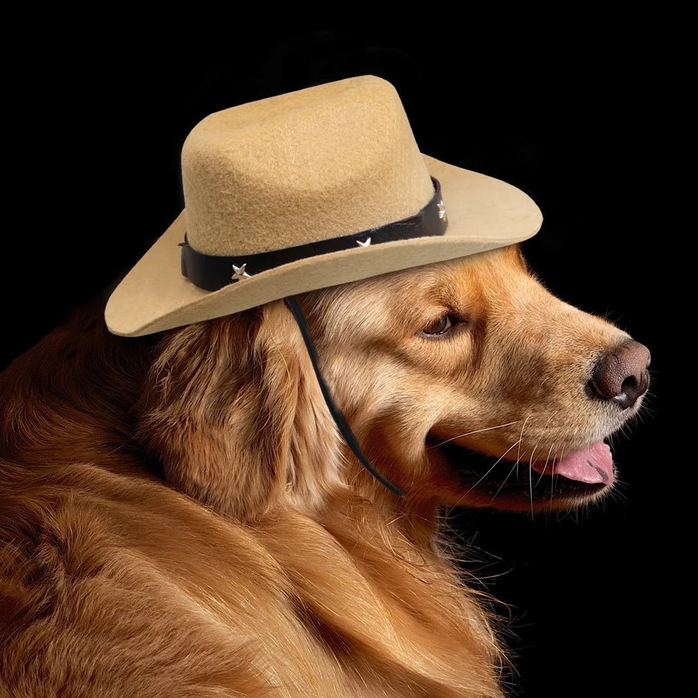 Cowboy hatt för hund