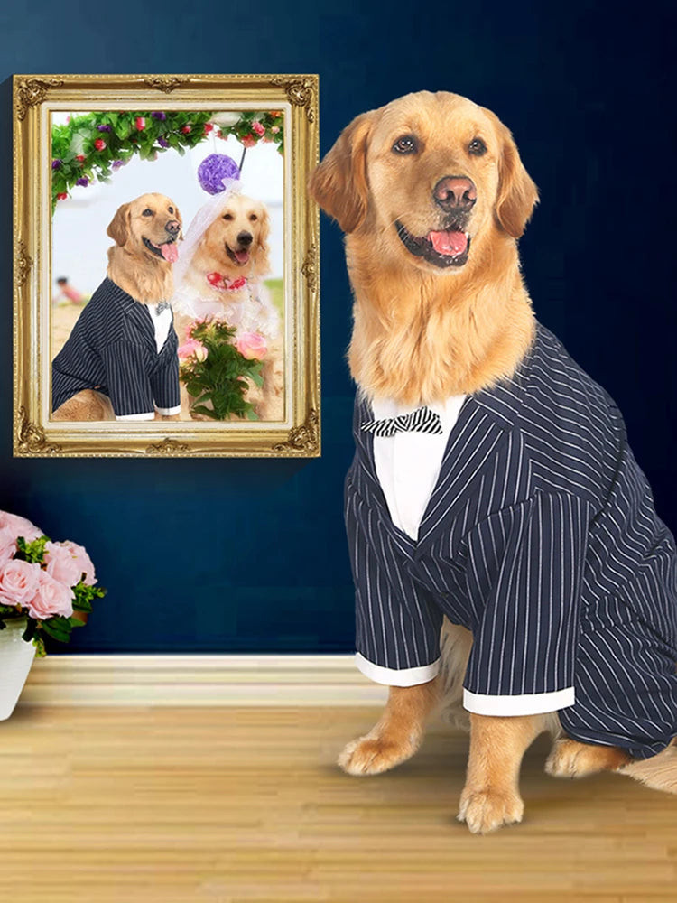 Kostym med fluga för stor hund