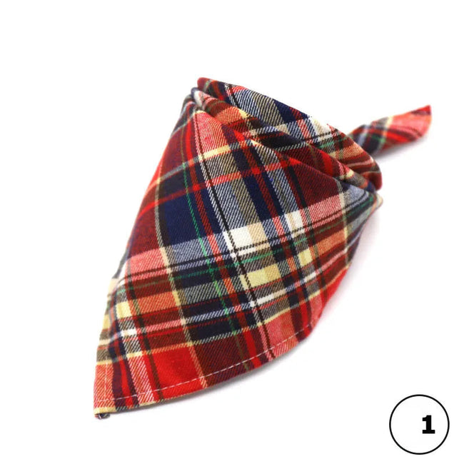 Scarf för hund