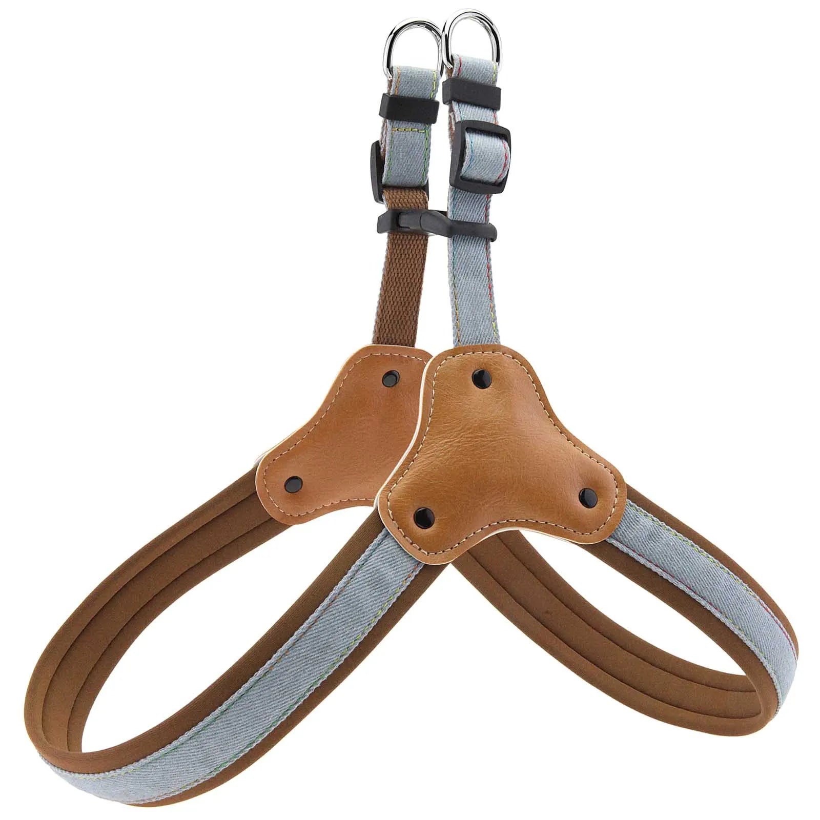 Hundsele i jeanstyg & koppel