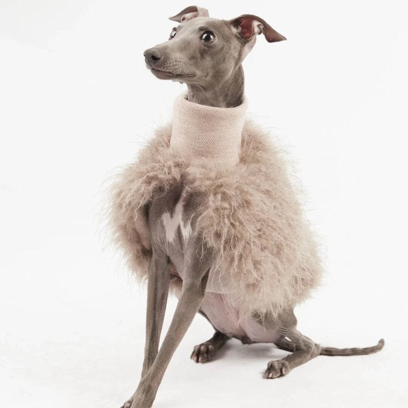 Pälströja för hund