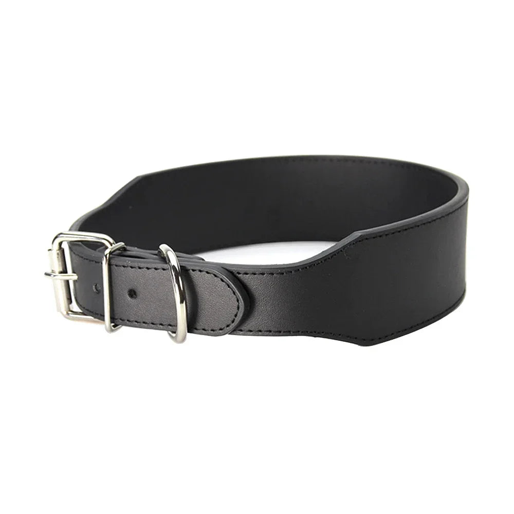 Hundhalsband för stor hund