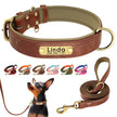 Hundhalsband & koppel