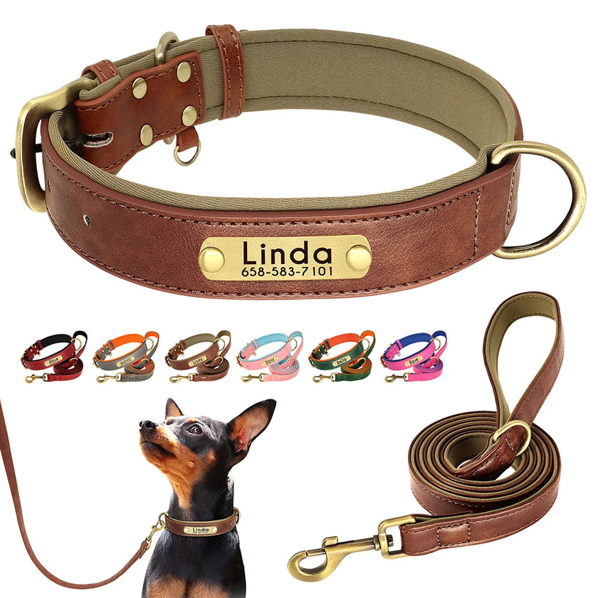 Hundhalsband & koppel