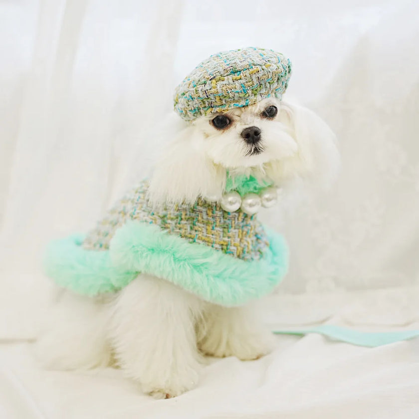Cape för liten hund