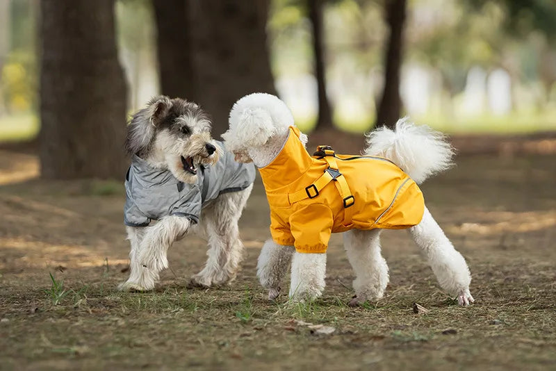 Regnjacka med sele för liten hund