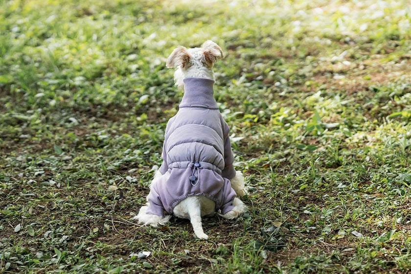 Tracksuit onesie för hund