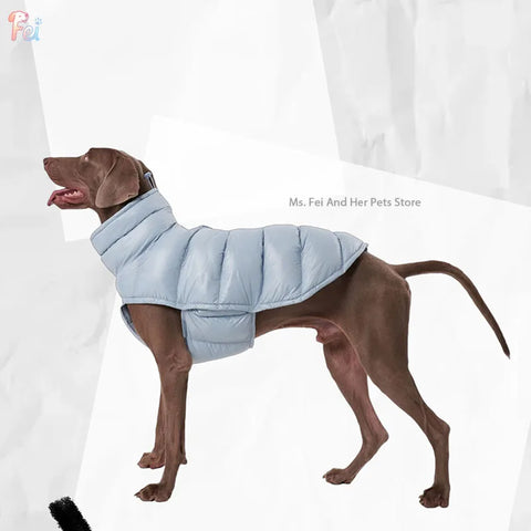 Dog vest
