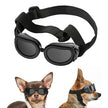 Goggles för hund