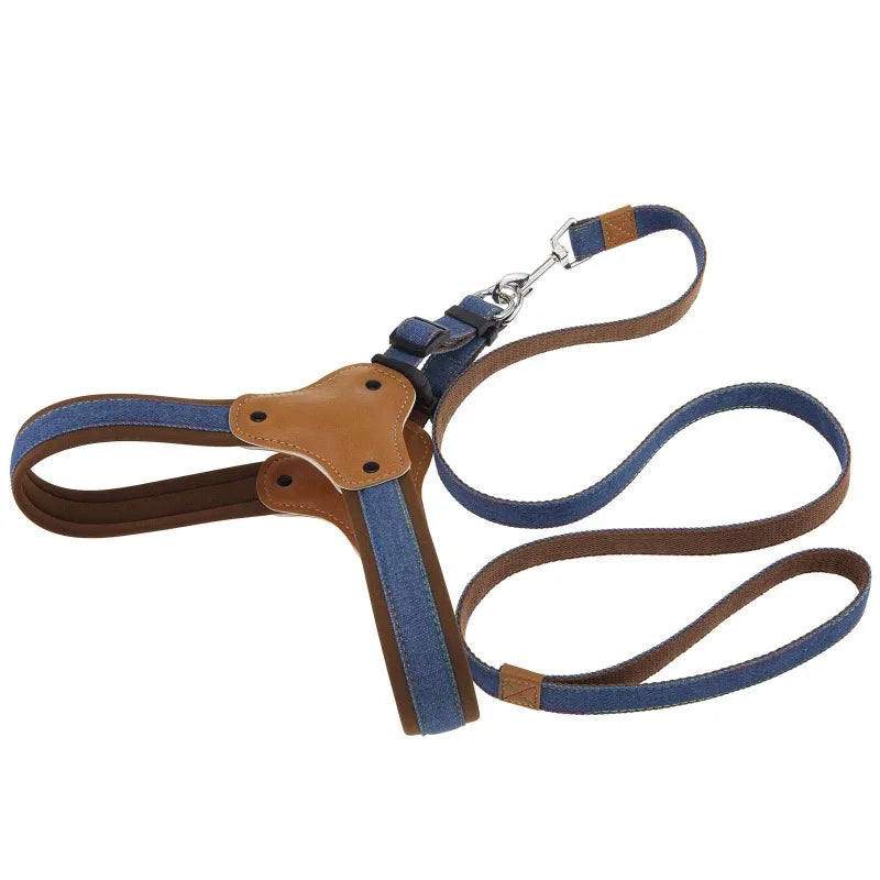 Hundsele i jeanstyg & koppel