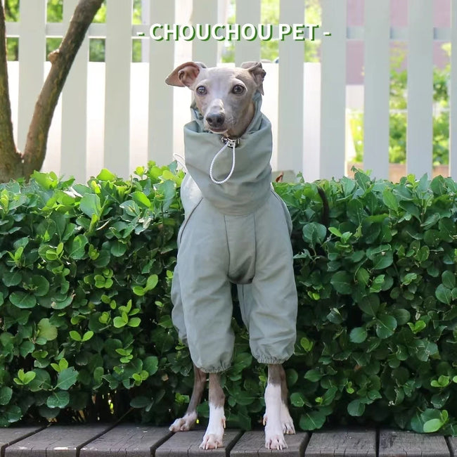 Vattentät overall för hund