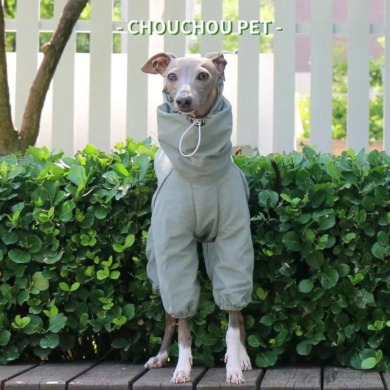 Vattentät overall för hund