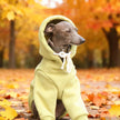 Hoodie Sweatshirt för hund