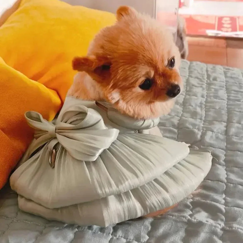 Klänning för hund