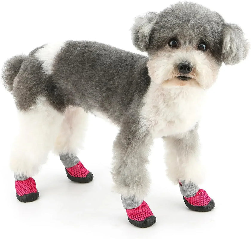 Hundskor för liten hund