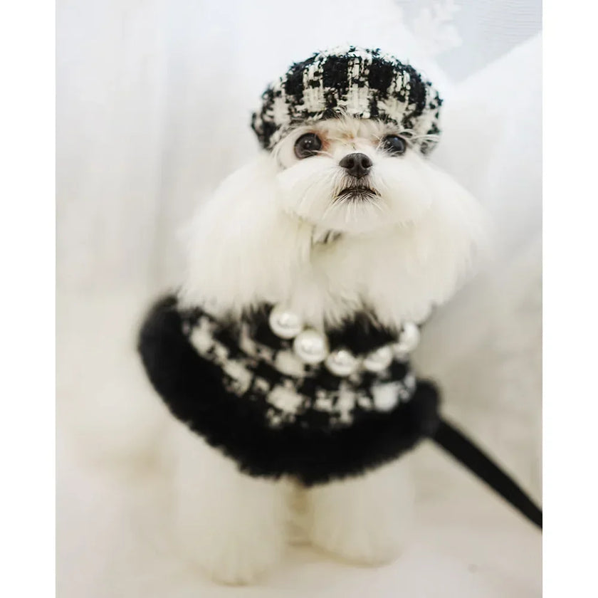 Cape för liten hund