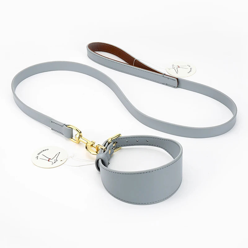 Brett hundhalsband