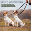 multifunktionellt koppel för hund