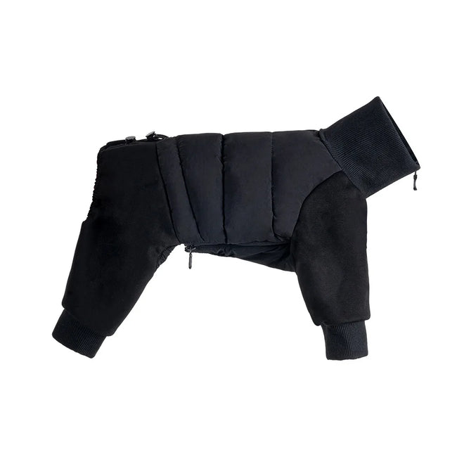 Tracksuit onesie för hund