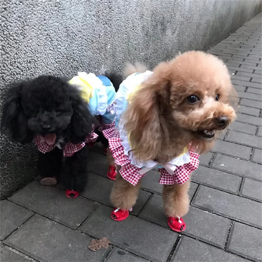 Sommarskor för hund