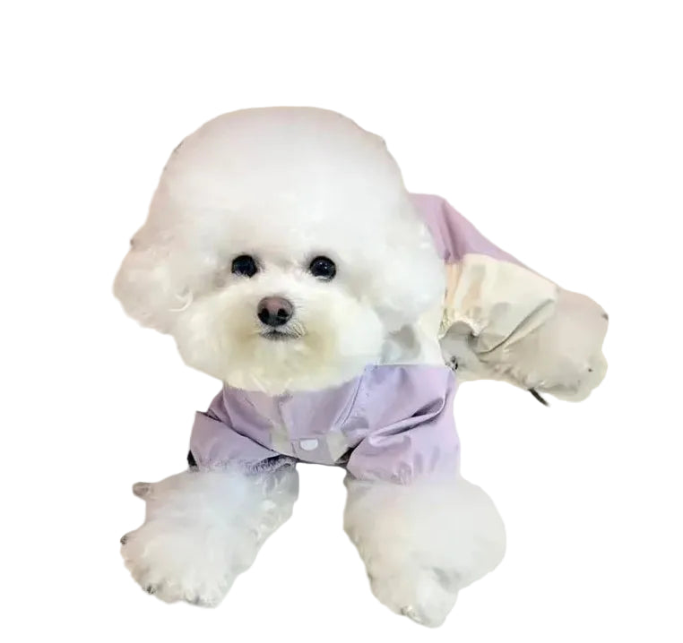 Vattentät overall för liten hund