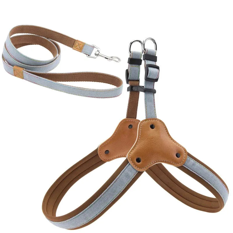 Hundsele i jeanstyg & koppel