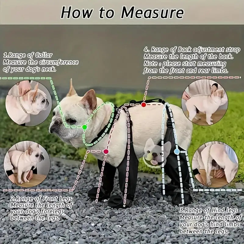 Regnskydd | Överdragsbyxor | Skor för hund