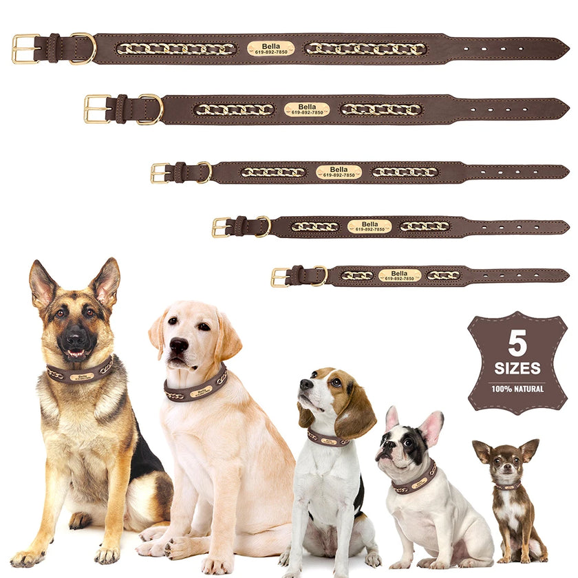 Hundhalsband med kedja