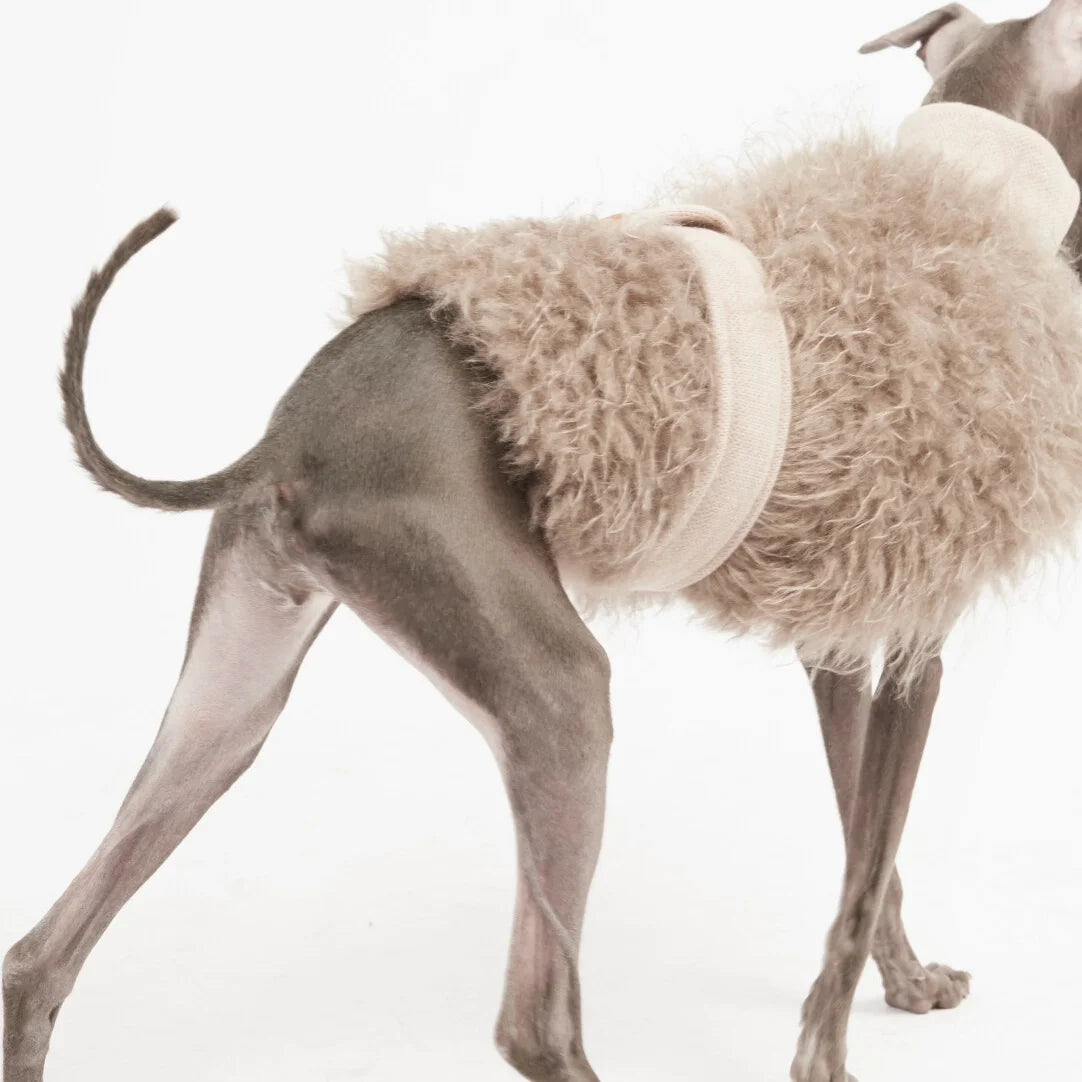Pälströja för hund