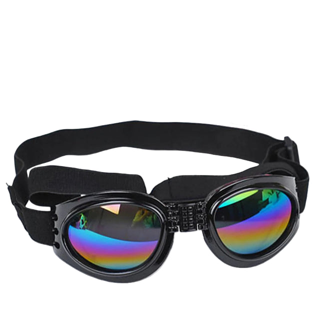 Goggles för hund