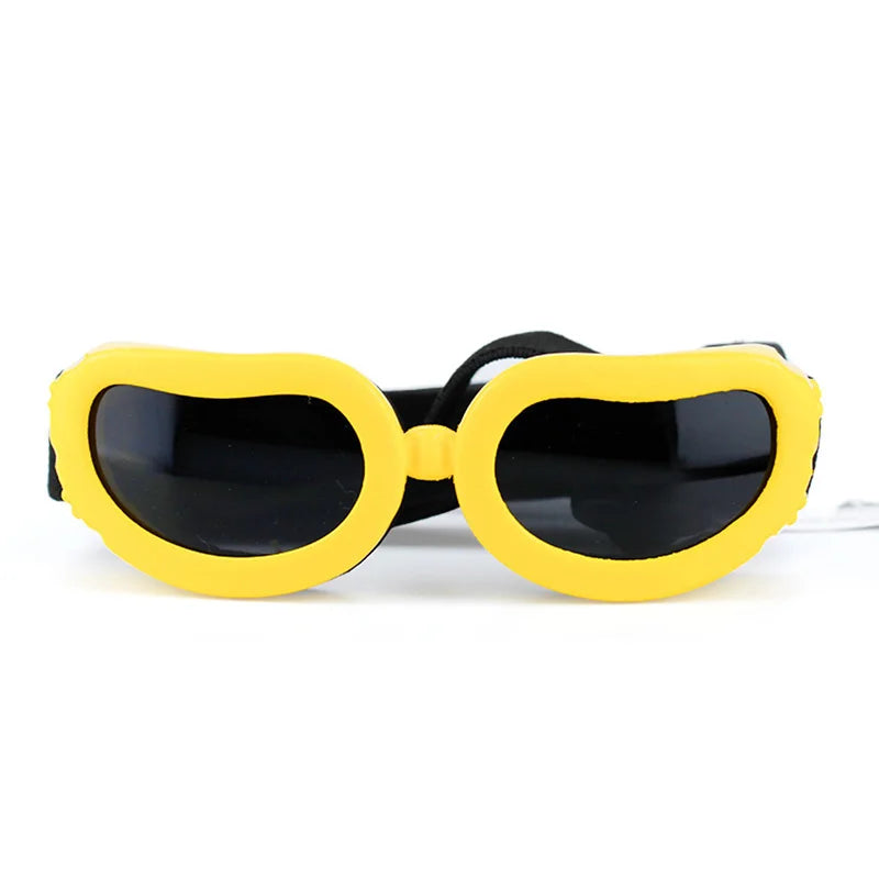 Goggles för hund
