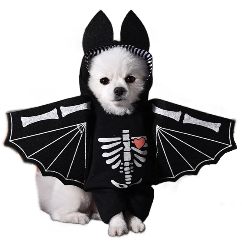 Halloween kostym för hund