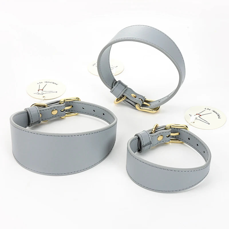 Brett hundhalsband