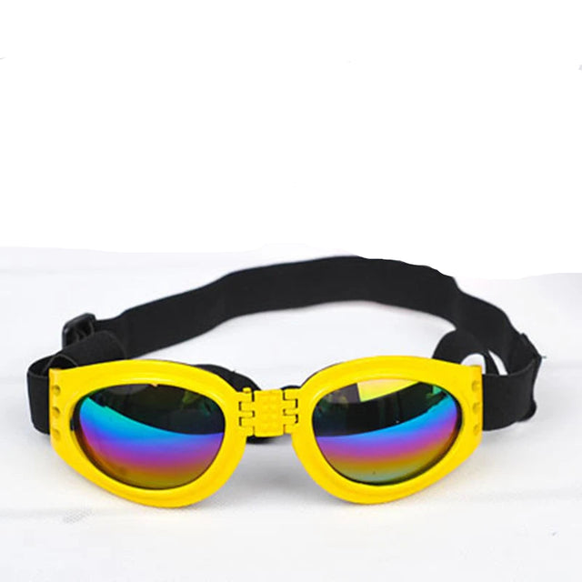 Goggles för hund