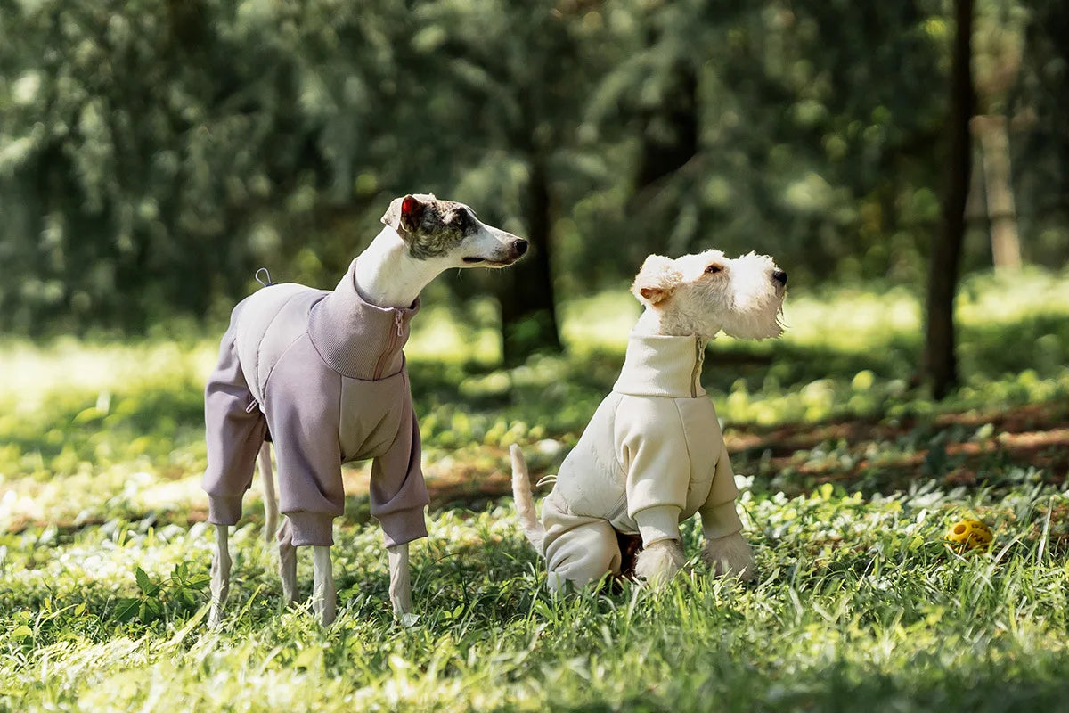 Tracksuit onesie för hund