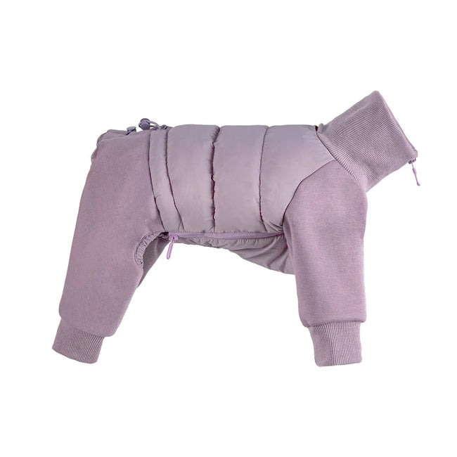 Tracksuit onesie för hund