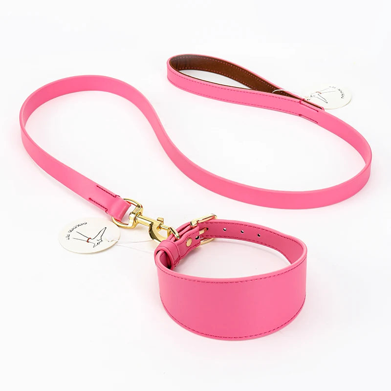 Brett hundhalsband