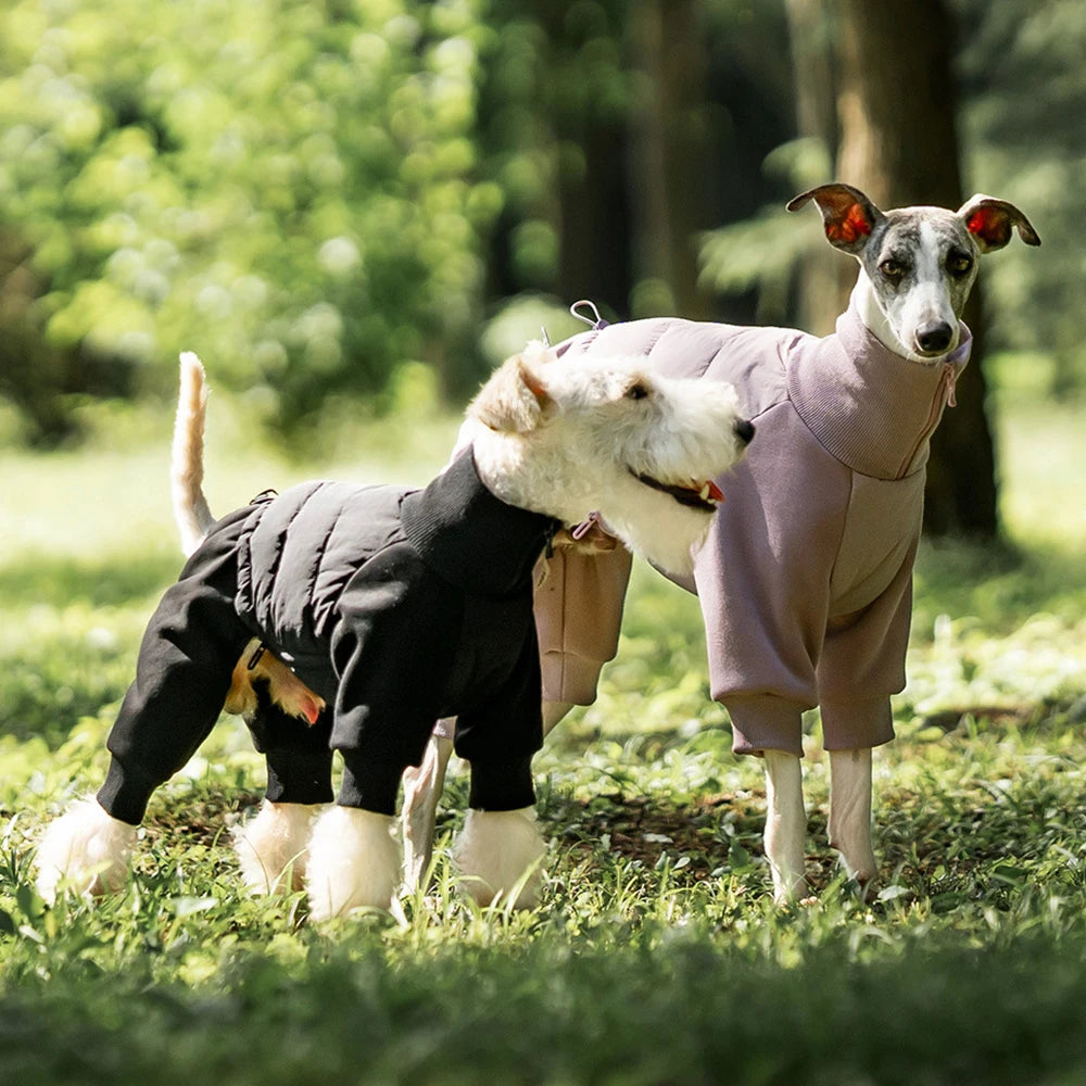 Tracksuit onesie för hund