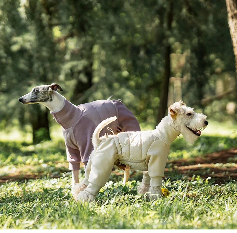 Tracksuit onesie för hund