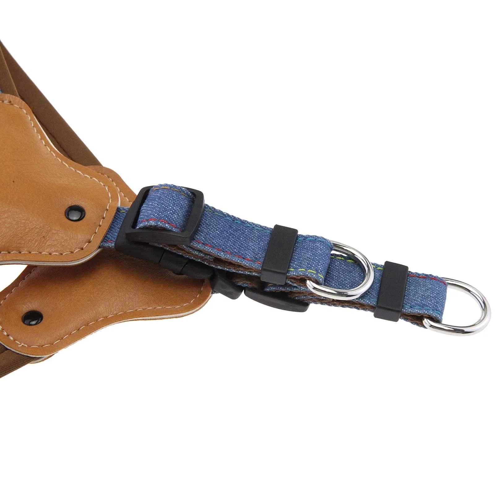 Hundsele i jeanstyg & koppel