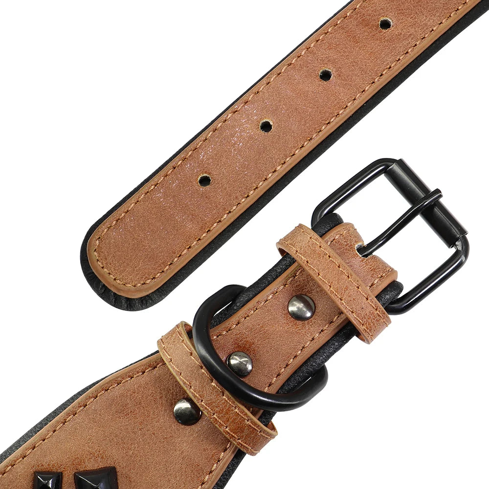 Hundhalsband för stor hund